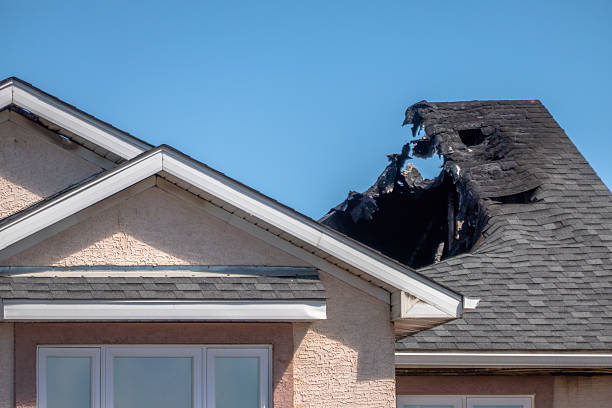 Licensed Fire Damage Removal service in Gibsonton, FL - Fire Damage Laser Cleaning